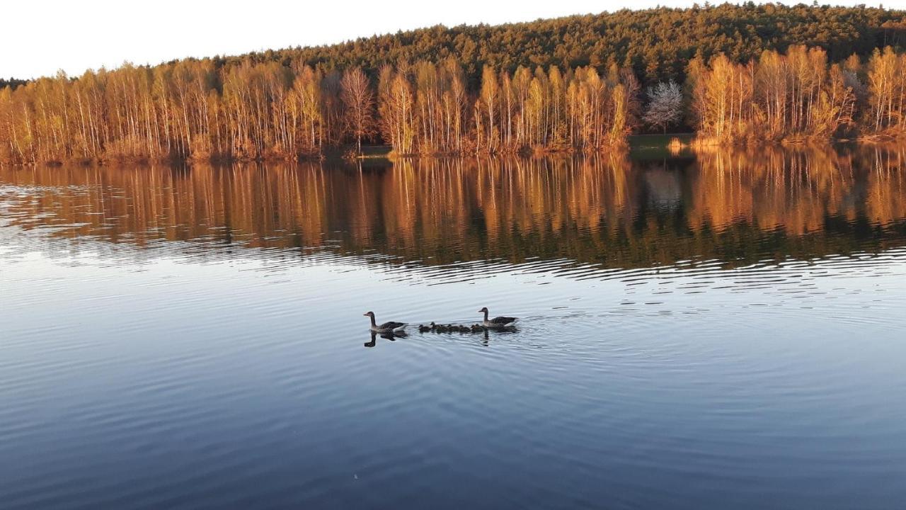 Ferienwohnung Schwalbennest Am Igelsbachsee Абсберг Екстериор снимка